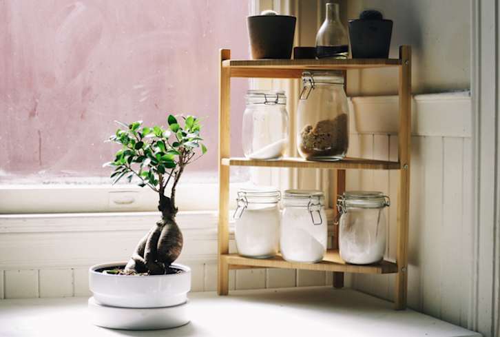 This One Feng Shui Tool Is The Ultimate Energy Booster (Hint: You Already Have It In Your Kitchen)