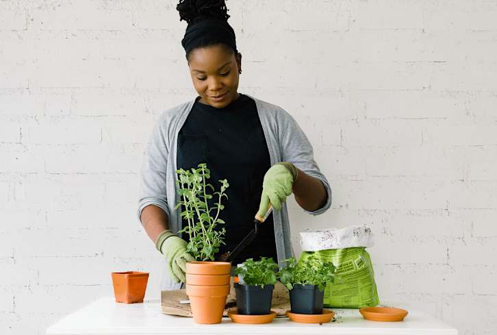 A Plant Expert Answered All The Herb Gardening Questions We've Ever Had