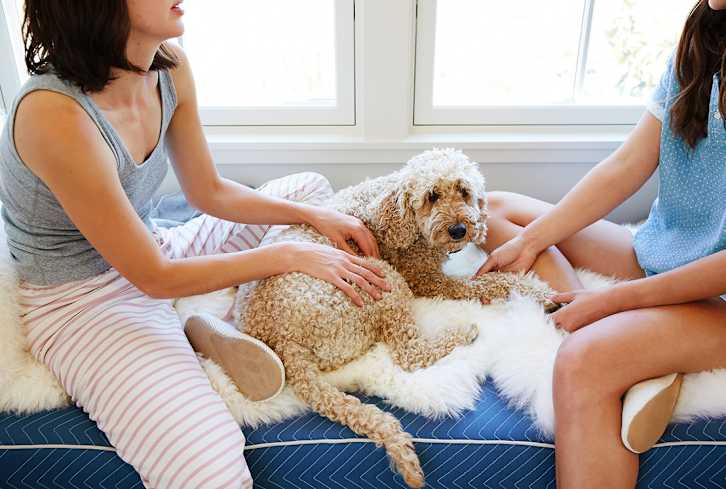 The Couples Counseling & Therapy Practice You Can Do From Your Own Couch