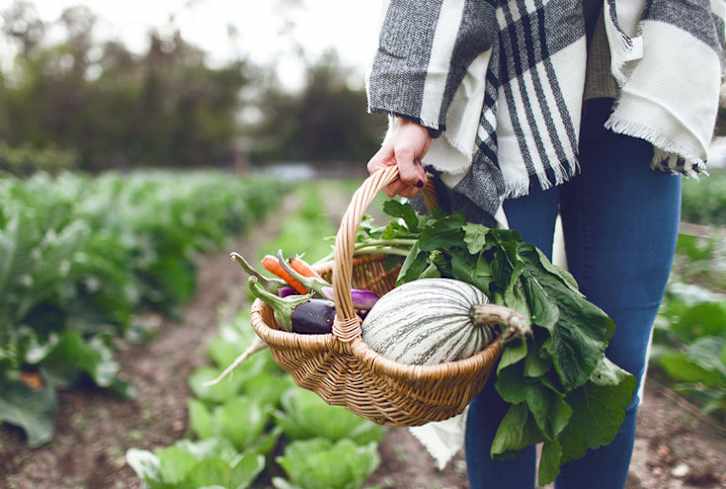 6 Foods I Recommend Eating Every Day For A Long Life: A Doctor Explains