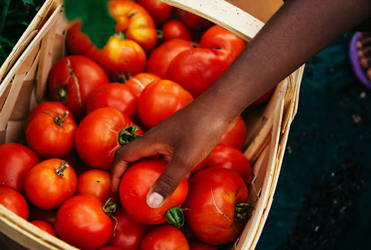 This Co-Op Is Eradicating A Food Desert & Empowering Its Community