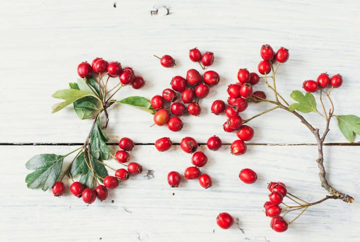 Meet The Floral Oil That Will Radically Change Your Skin + Your Mood
