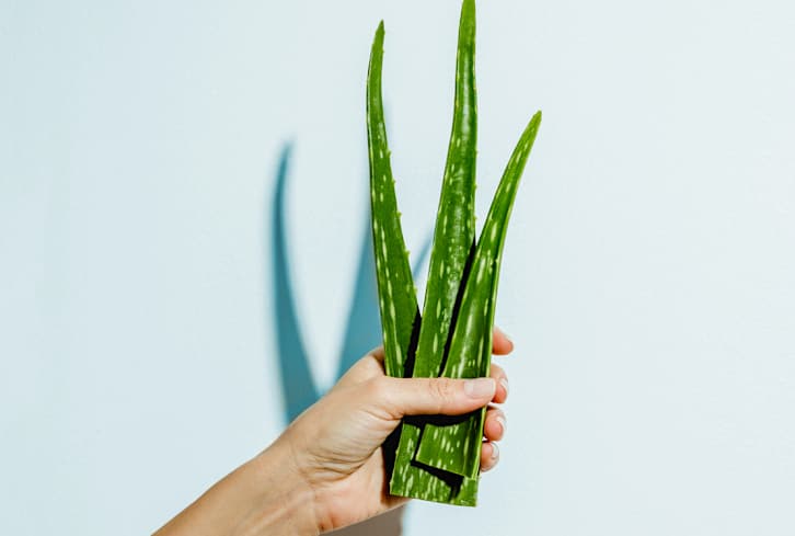 The Powerful Latin American Blood-Sugar Balancer That You Should Be Eating (But Aren't)