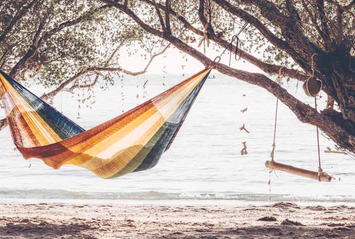 How To Use The Doshas To Hack Your Biological Rhythms: A Doctor Explains