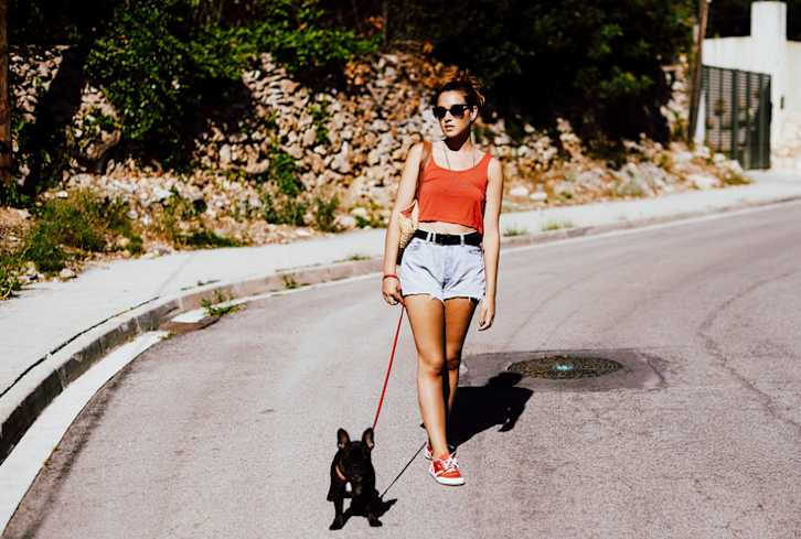 Why You Should Be Meditating With Your Pet