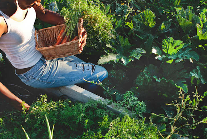 Is A Plant-Based Diet Enough to Keep You Healthy?
