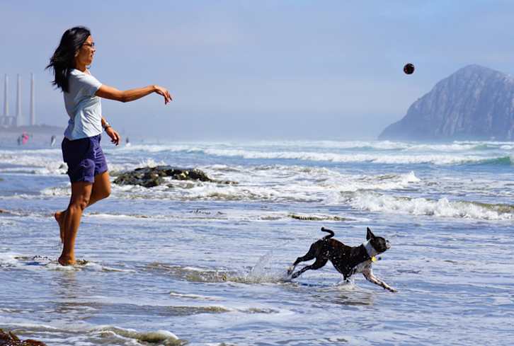 Is Getting A Dog The Best Thing You Can Do For Your Health?