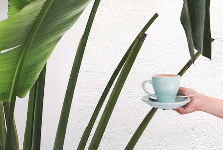 Is Coffee Actually Bad For You? A Doctor Explains