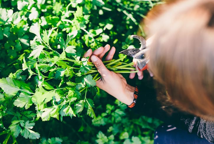 I've Been Studying The Microbiome For 40 Years: Here's What My Diet Looks Like