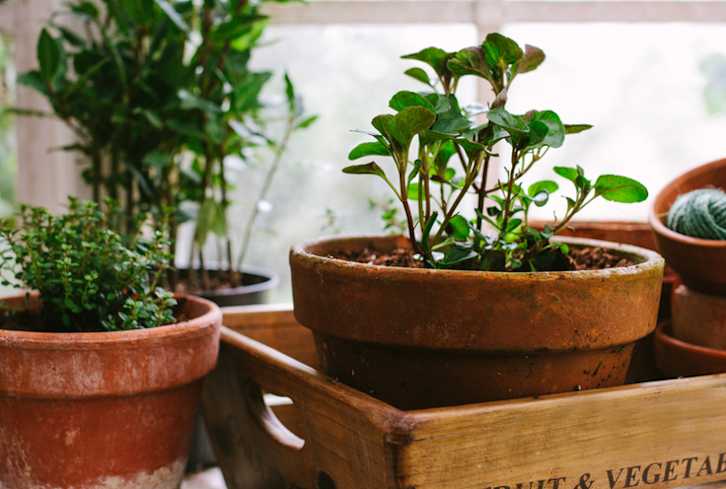 8 Kitchen-Design Hacks That Will Make Healthy Eating A No-Brainer