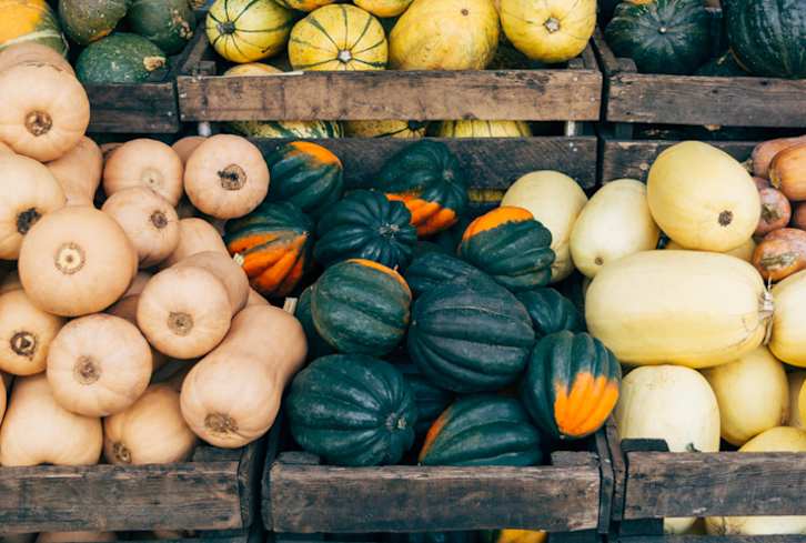 The Anti-Candida Grocery Shopping List