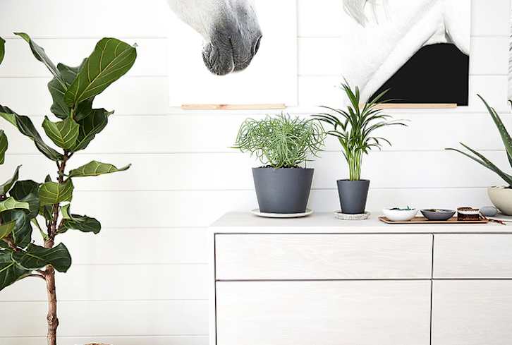 Peace Out, Negative Energy. How You Can Organize Your Home For Well-Being