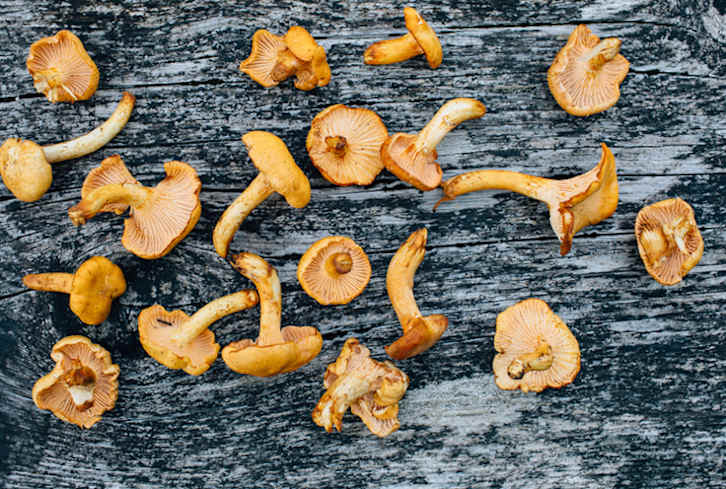 The Weird Hack That Gets More Vitamin D Out Of Your Food, Naturally