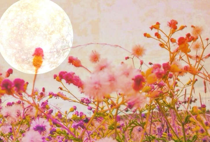 This Personalized New Moon Ritual Will Help You Manifest Your Heart's Desire