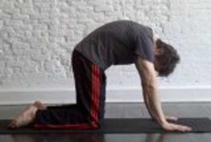 Cat Pose: How-to, Tips, Benefits