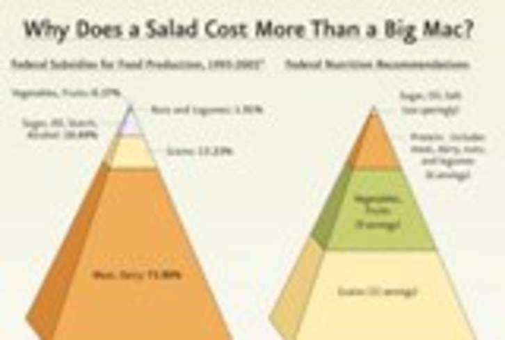 Why a Salad Costs More Than a Big Mac (Image)