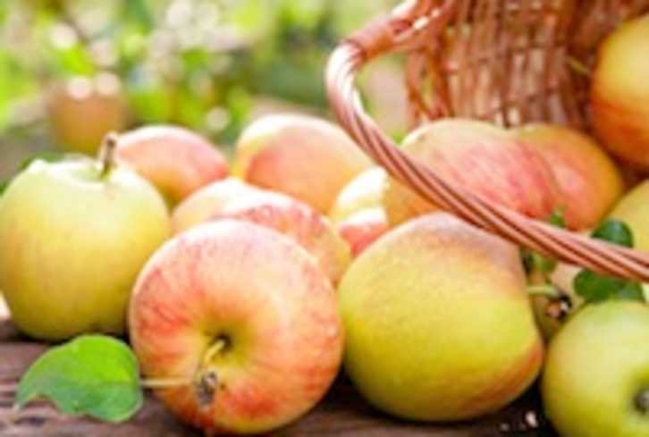 Creamy Apple Pie Smoothie Recipe
