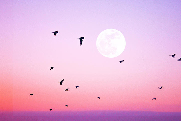 Here's What To Know For This Month's Full Pink Moon In Libra