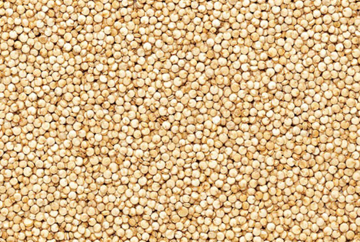 Hearty Holiday Quinoa Recipe
