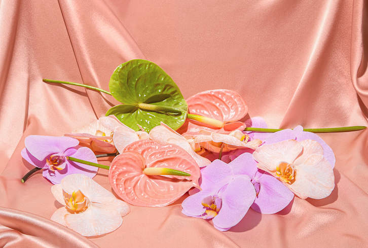 Everything You've Ever Wanted To Know About Vagina Piercings