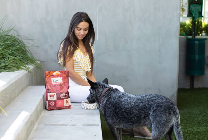 3 Easy Ways To Be A More Eco-Minded Pet Parent