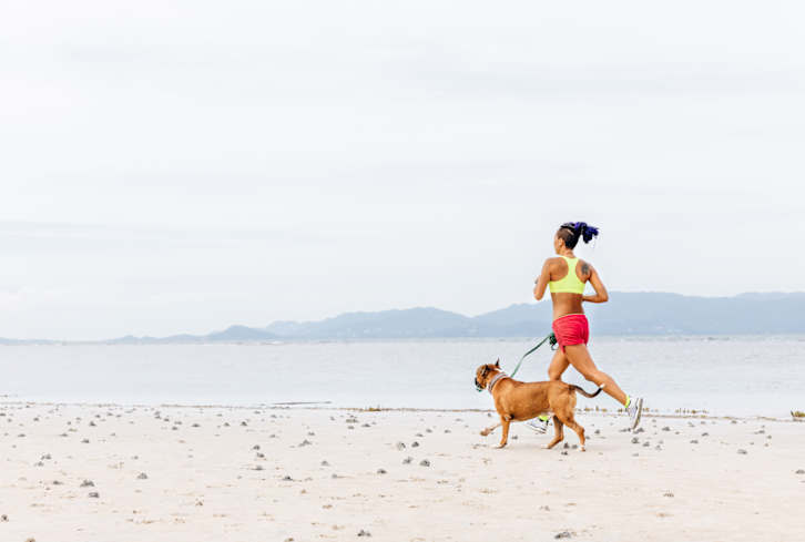 Our Dogs Deserve The Best, But So Does The Planet — How To Feed Your Pup Sustainably