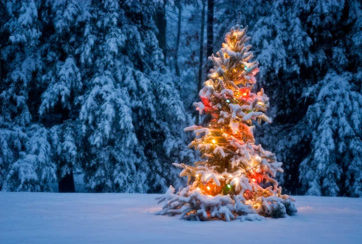 5 Tips To Enjoy A Restful & Nourishing Holiday Season