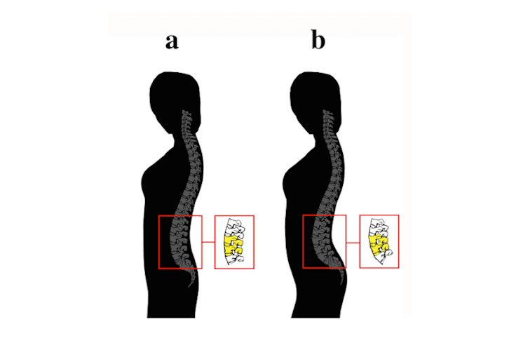 Why Men Prefer Certain Body Types