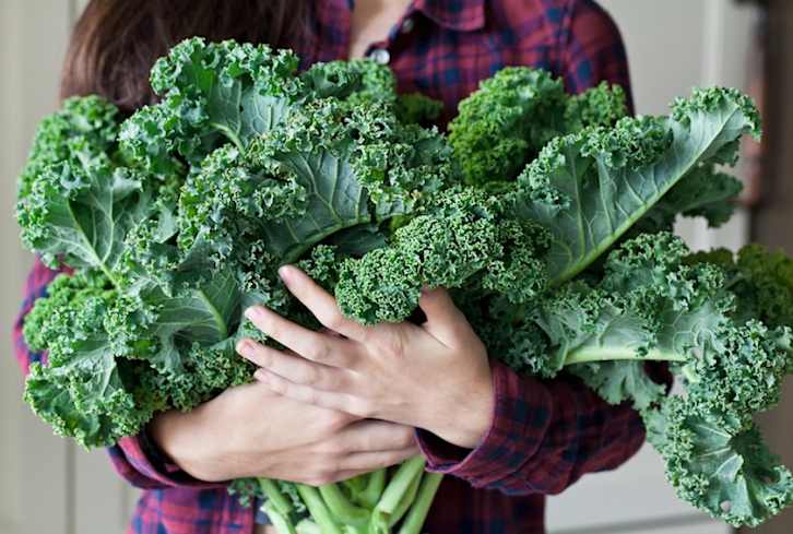 17 Things I Wish Everyone Knew About Kale