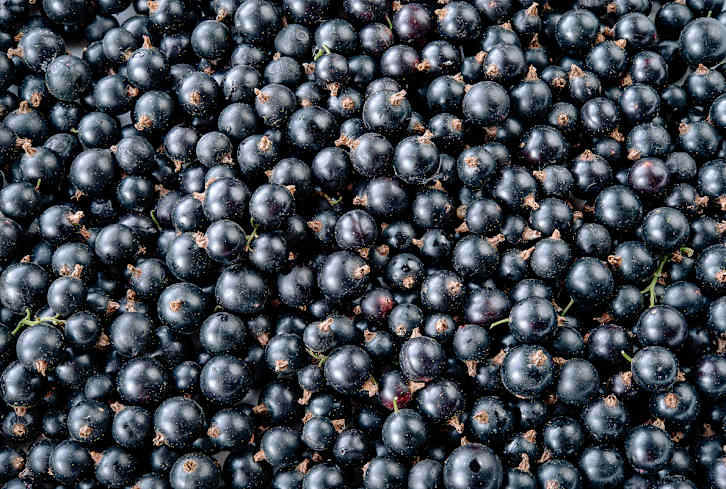 This Little Fruit May Have A Big Impact On Blood Sugar Balance, Study Suggests