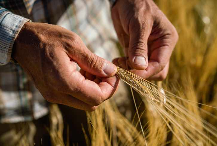 What Percentage Of American Farms Do You Think Are Organic? It’s Less Than That