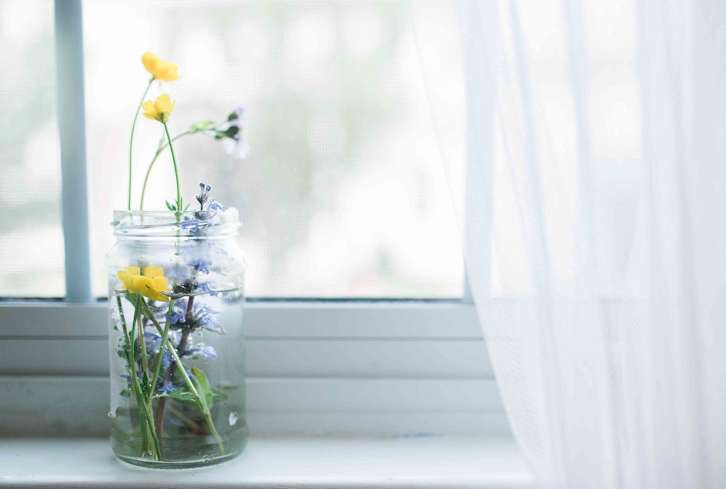 Healing From Addiction? Supplement The Process With These 4 Herbs