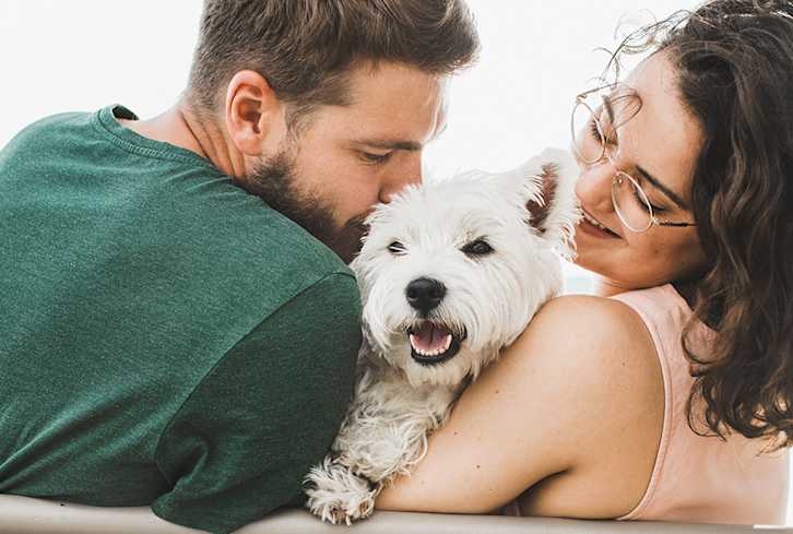 If You Think Your Pet’s A Picky Eater, Here’s What Might Be Going On Instead