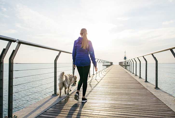 Here's What Science-Led Food Can Do For Your Pet's Best Life