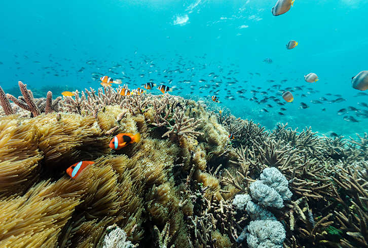 Freaked Out By "Seaspiracy"? 6 Seafood Lessons The Movie Missed