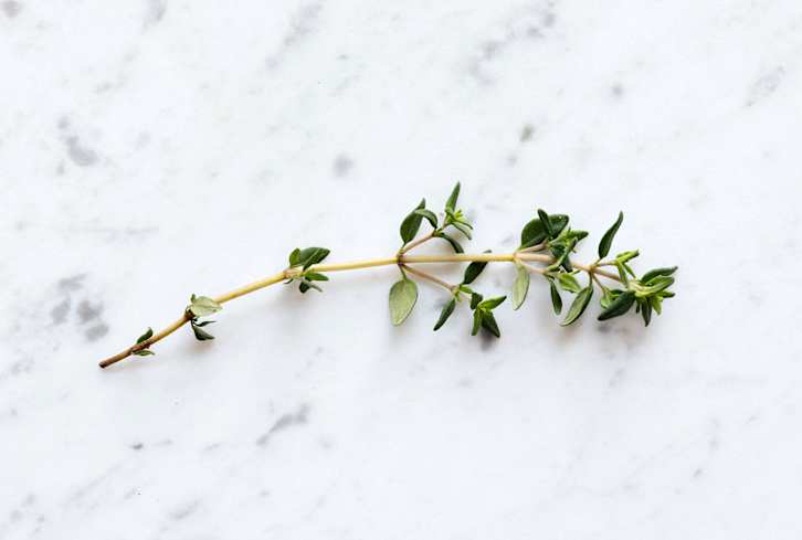 Can This Household Herb *Really* Ward Off Breakouts? What Research Says