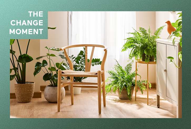 3 Sustainable Home Spruces This Interior Designer Can't Get Enough Of