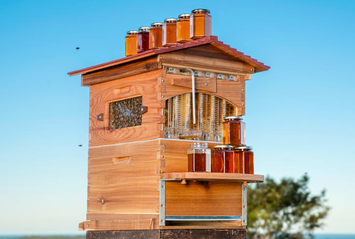 This Backyard Beehive Makes Harvesting Your Own Honey 10X Easier