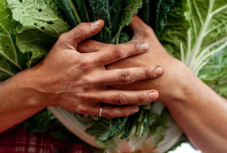 The Full Circle Connection Between Beauty & Agriculture — And Why It Matters More Now Than Ever Before