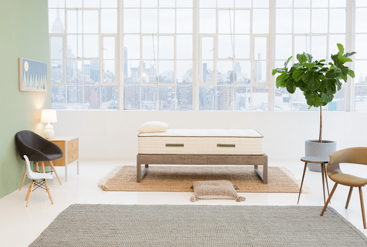 Eco-Home Shopping Made Simple