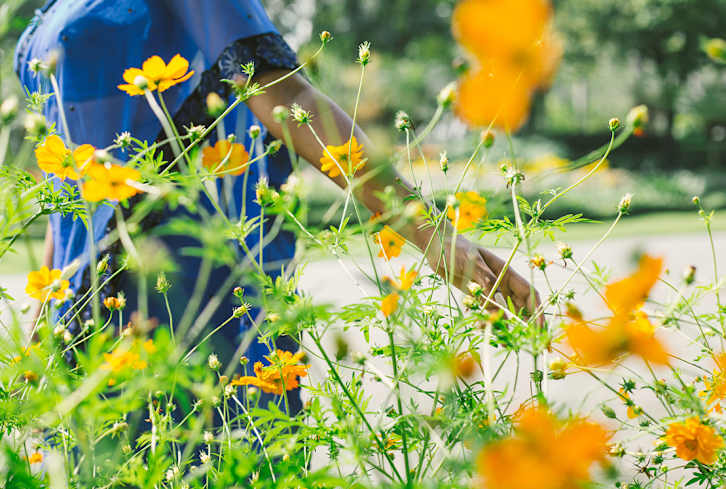Seasonal Allergies Are The Worst. Here's What You Need To Know For An Easier Spring