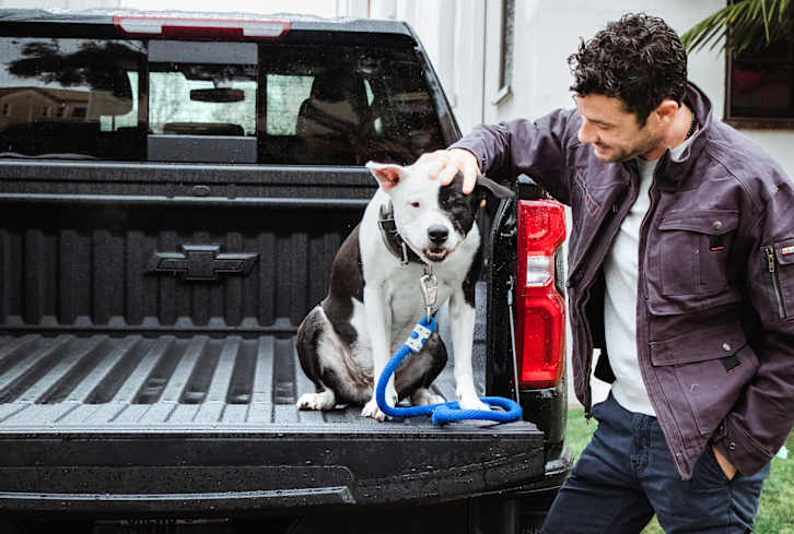 What No One Tells You About Traveling Cross-Country With Your Dog