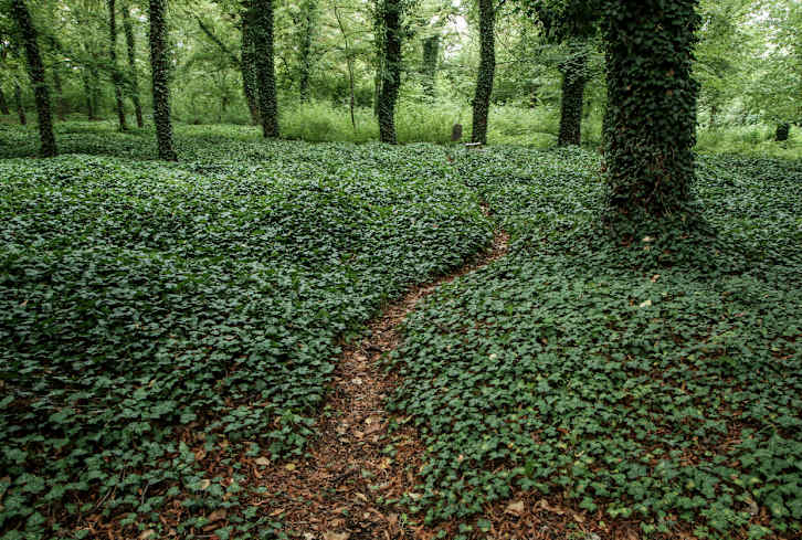 Why We All Need To Think About Our Funerals—For The Sake Of The Planet