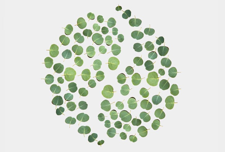I'm A Chinese Medicine Practitioner: What I Wish People Knew About Yin & Yang