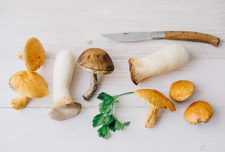 Growing Mushrooms At Home Is Easier Than You Think With Our Newbie Guide