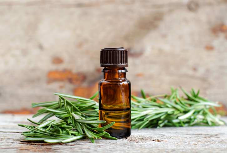 Wait, Can Rosemary Oil Cause Hair Loss? Only If You Do This