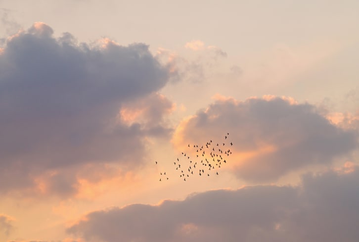 A New Relationship Between Death & Well-Being Is Emerging
