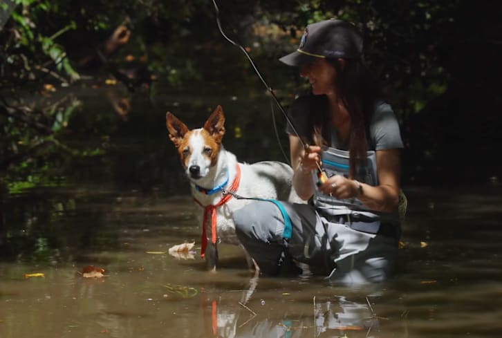 Her Dog Is Her #1 Sidekick—How This Artist Is Keeping Her Pup Happy & Healthy