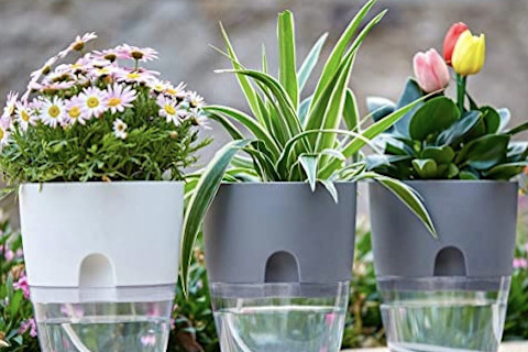self watering planters 3