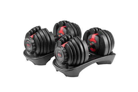 Bowflex black weights with red details